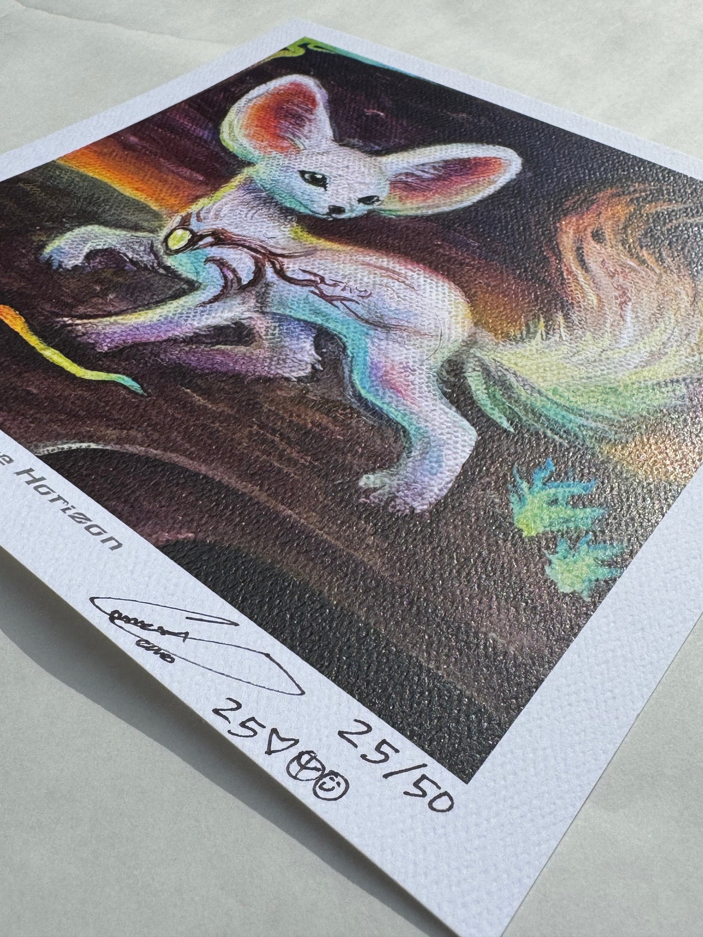 Echo The Fennec Fox Prints