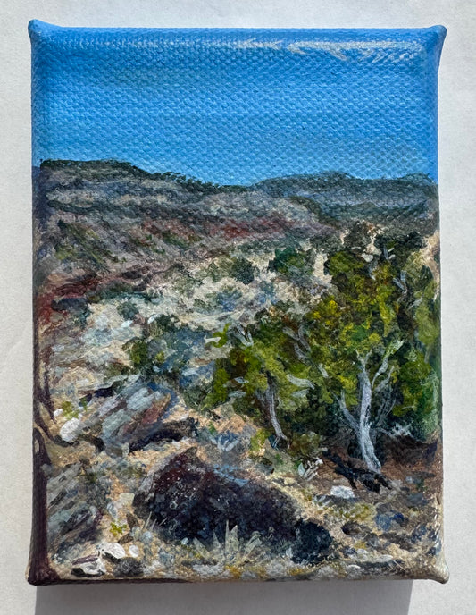 ORIGINAL: Mini Mesa Study
