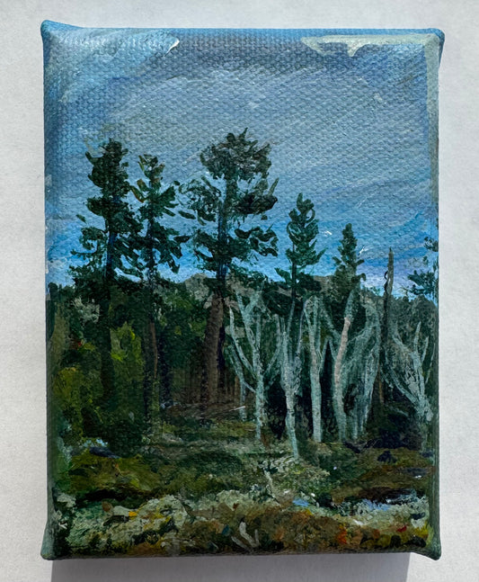 ORIGINAL: Colorado Mountaintop Study