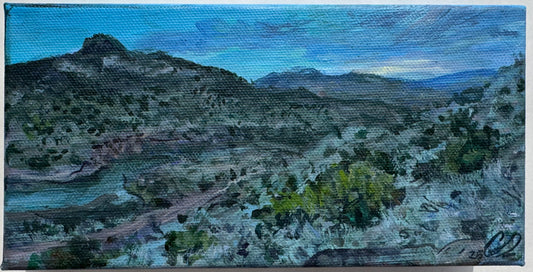ORIGINAL: Santa Fe Forest Study