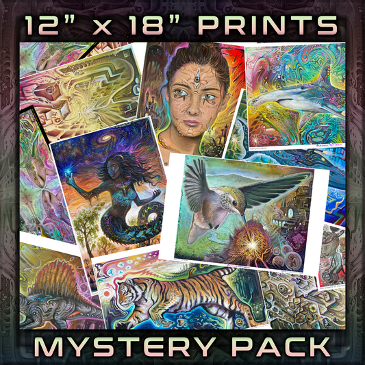 Large Prints (Mystery Pack)