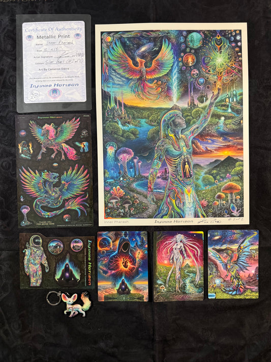 Inner Pharaoh Silver Metallic Print - LAST ONE