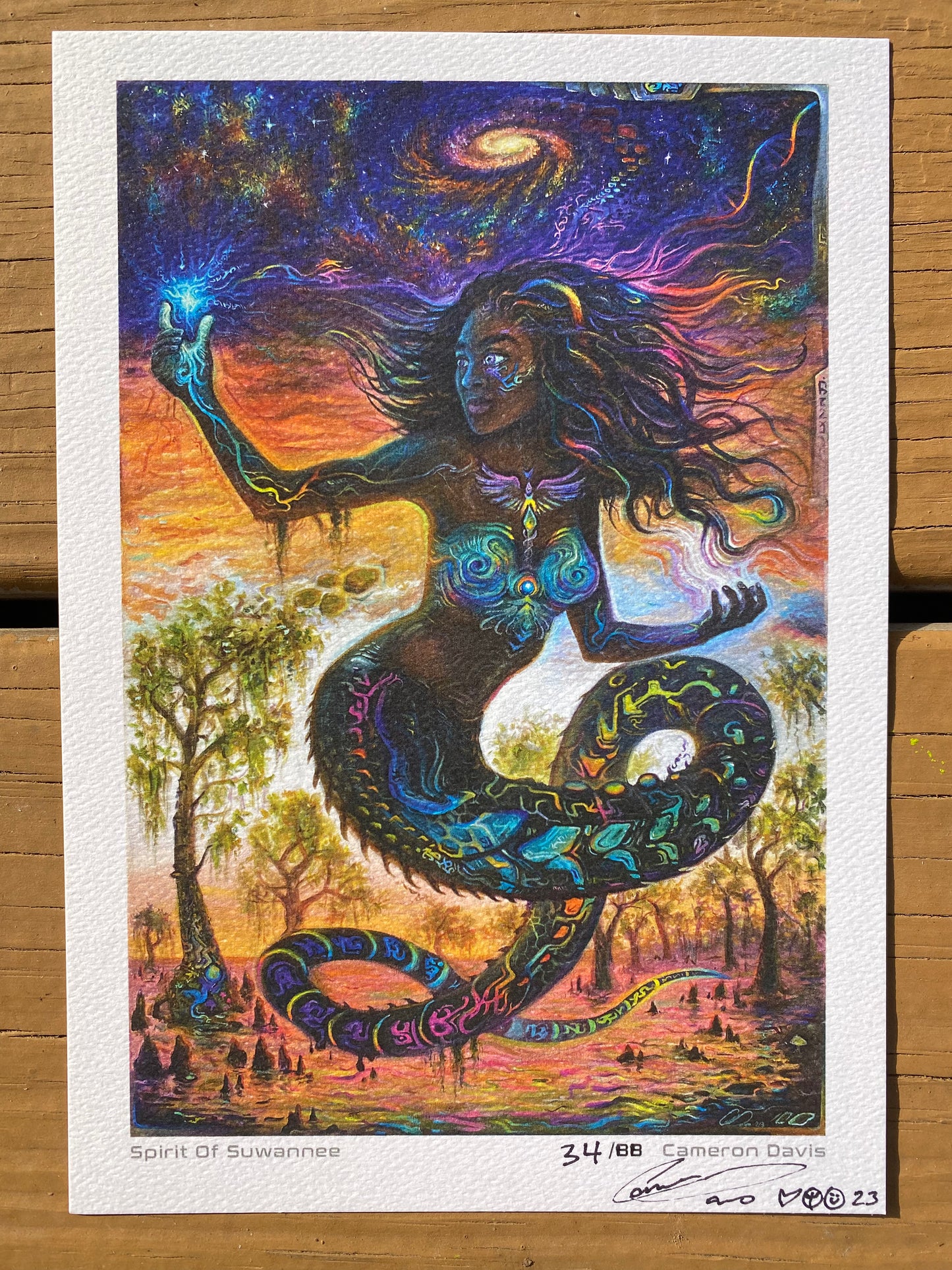 Spirit Of Suwannee Prints