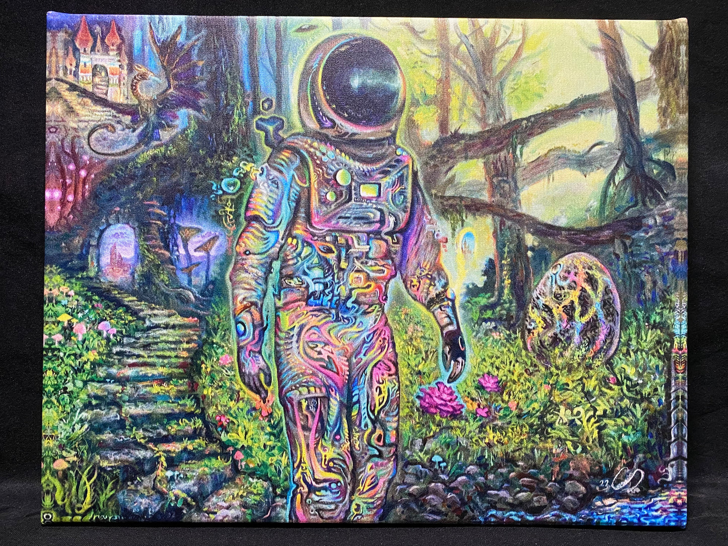 Astralnaut Canvas Prints