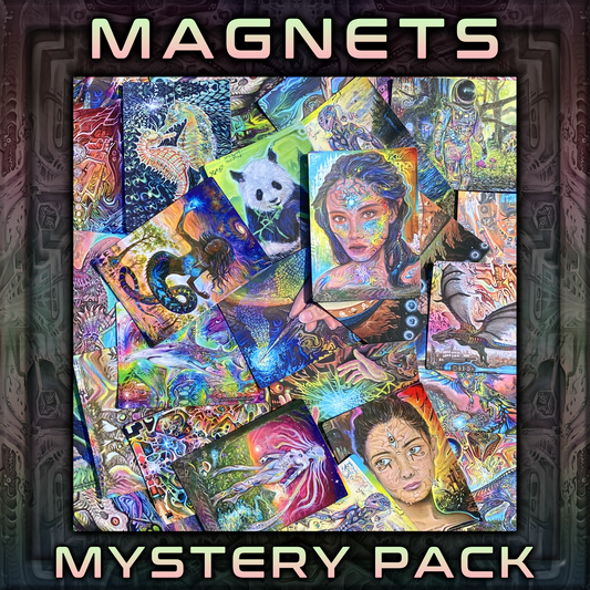 Magnet Mystery Pack